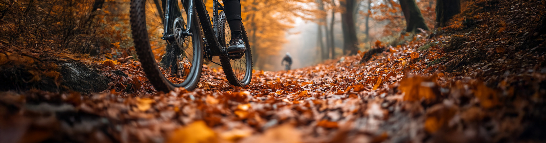 Metropool Tweewielers